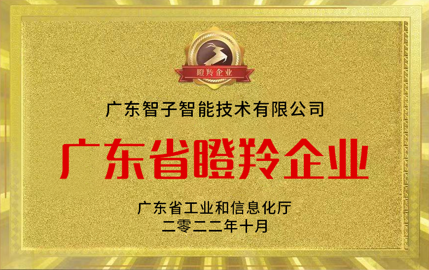 智子·榮譽資質(zhì)展示